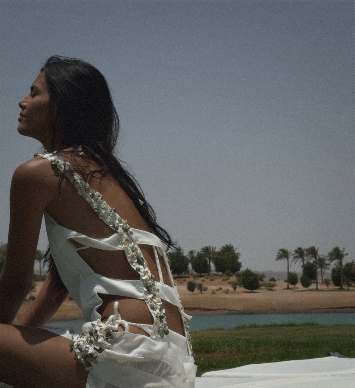 Shoreline Coverup