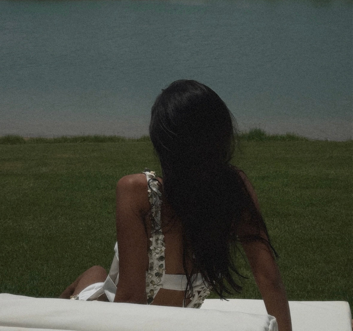 Shoreline Coverup